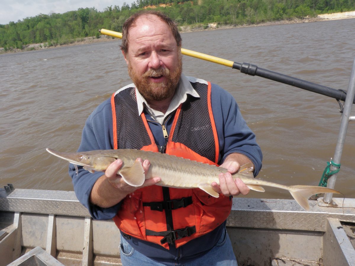 SIUC Conservation Genomics Laboratory – Ed Heist's Lab Page